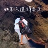 如果你選擇要走