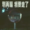 別再騙 我要走了 DEMO