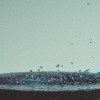 駐波 (feat. HowZ)