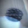 〈 醜陋的孤高 The pride don a shattered face 〉