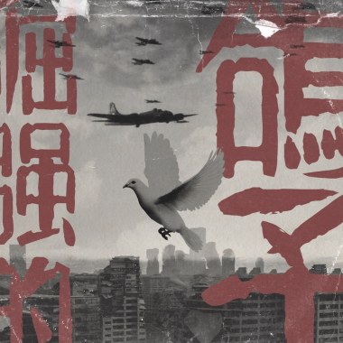 倔强的鸽子