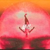 MIKE - 徒花.不結果的花
