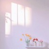 玫瑰色的生活 ( demo ）