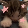 Kitty (demo)