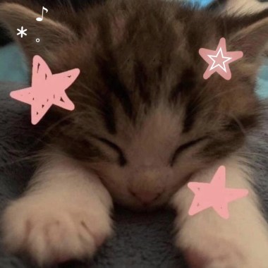 Kitty (demo)