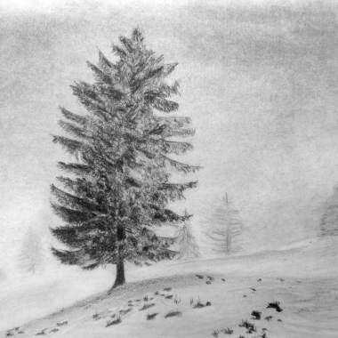 趕雪 demo