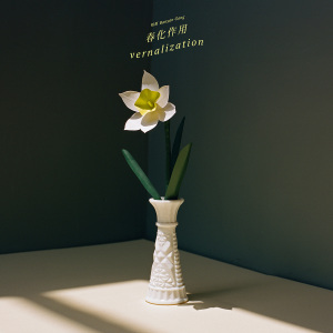 冬天 (feat. 雷擎)