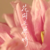 MAEL X JUN - 花開正蘼時