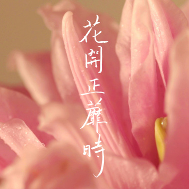 MAEL X JUN - 花開正蘼時