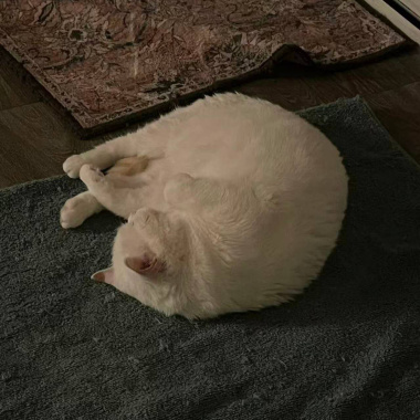 さよならfrequency brusse ver