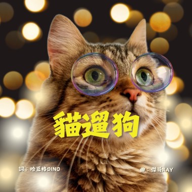 學習障礙-貓遛狗