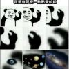 藏心（demo）feat. 鍾明諺