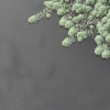 一鏡湖水_