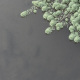 一鏡湖水_
