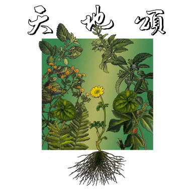 漣漪