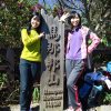 植病兩棵橄欖樹姊妹花與主一起合唱作品