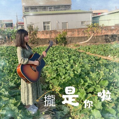攏是你啦