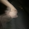 早安爱demo