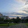 Wenshan Stray(demo)