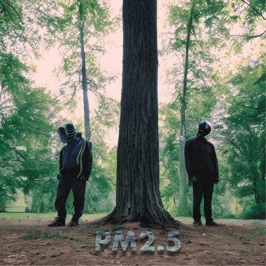 PM2.5 (demo)