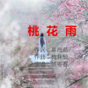 桃花雨