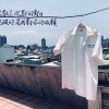 一場空/南區