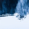 李茵的湖