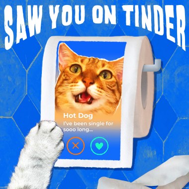 Saw You On Tinder
