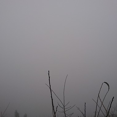 迷霧