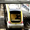 The Amorous Yellow Express