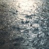 Rainy Days 下雨天