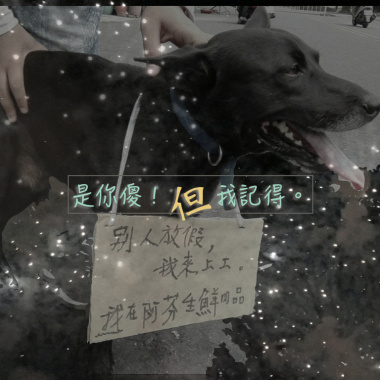是你傻！但我記得（DEMO)