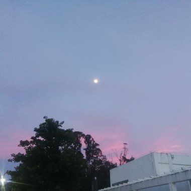 鸠占凤巢