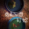 總是會想到你(demo)