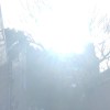 告五人 Accusefive/愛人錯過 botherbooms cover