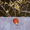 December Night (Cover)