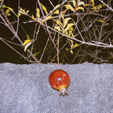 December Night (Cover)