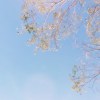 微笑的理由(Demo)