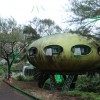 Frog Tripper