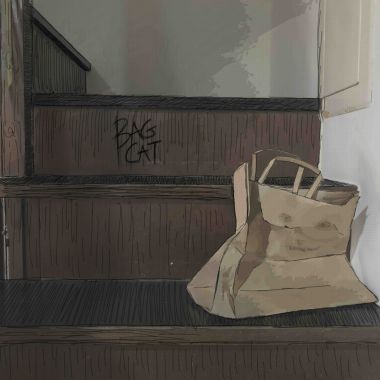 Bag Cat