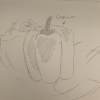 Capsicum