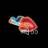 煙00