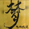夢想的旅途