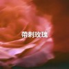 带刺玫瑰