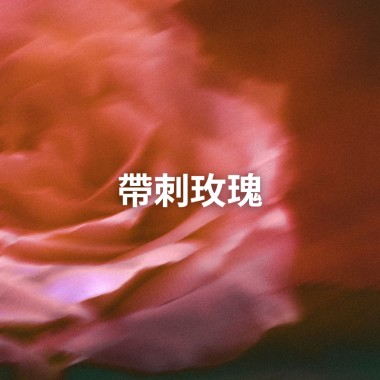 带刺玫瑰