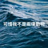 可惜我不是兩棲動物