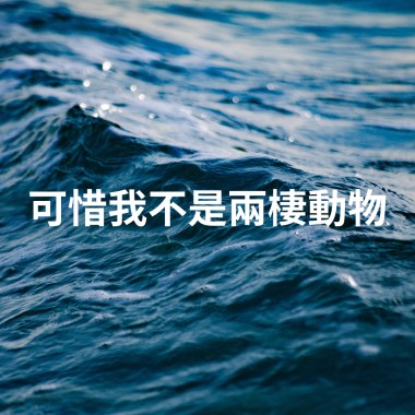 可惜我不是兩棲動物