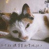不可能連畢業都要拖延ㄅ Demo