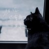 相信你會再回來