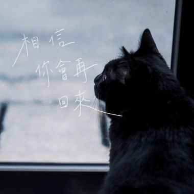 相信你會再回來